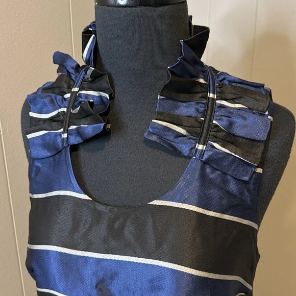 Banana Republic Women’s 4 Tall Ruffle Neckline Sleeveless Crewneck Stripes Dress - Picture 3 of 9